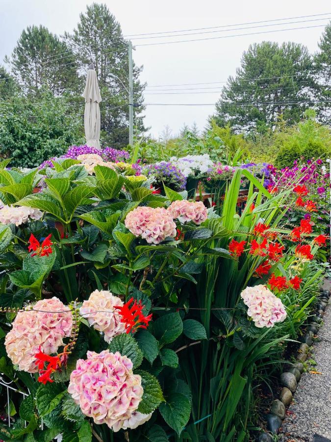 Garden Home In Victoria -Beautiful Home In Victoria Eksteriør bilde